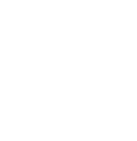legal 500